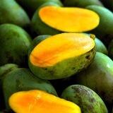🥭СОЧНОЕ МАНГО КРЫМ🥭