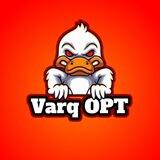 Varq СЛИВ OPT 🔗