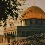 حـِڪايَہ_ثـَﯛْرَة