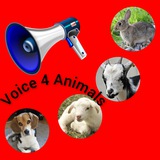 voice4animals
