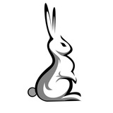RabbitVPN | خرید وی پی ان پر سرعت