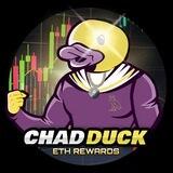 Chad Duck Portal