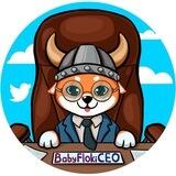 BABY FLOKI CEO