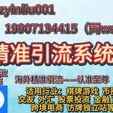 ins引流/ins群发系统海外精准引流/游戏/币圈/交友/外汇/股票/商城/金融/仿牌