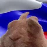"Ушастая Правда"✌️