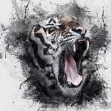 The_heart_of_the_beast