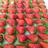 Фрукты-овощи Хороль,Камень-рыболов🍍🥭🥑🍇🍓🫐🍅🥒🌶🍋🍌🥑🍆🧄🧅