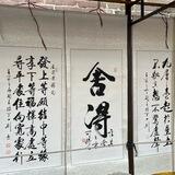 万鼎低端pc （日结）