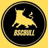 BSCBull PORTAL