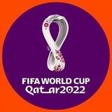 2022卡塔尔世界杯🏆