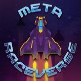 MetaRaceverse Official Group