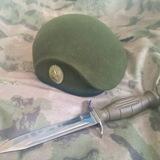 Хроники Мобилизованного