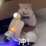 小七的手机口