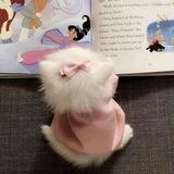 ⊹.. kitten. ♥️