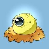 RoundChickenTON EN