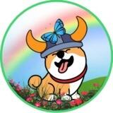 Optimism Floki BSC