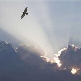 Silver Linings
