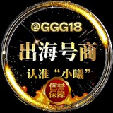 🌍倾城工作室（出海号商）