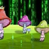 Ton MUSHROOMs Nft чат.