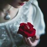 «همـدلی وآرامــش»