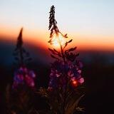 Gün~Işığı🥀🍁🕊️