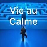 Vie au Calme - Du Labyrinthe aux Hypothèses