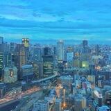 全国地推总部（老司机）