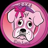 Im Lua Coin Community 🐶❤‍🔥🆙