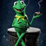The Frog