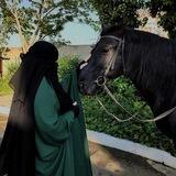 ئــیــسلامــەکــەم🇸🇦🖤"