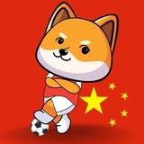 BabyFootball CN