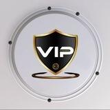 ViP Enterprises