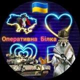 💙💛ОПЕРАТИВНА БІЛКА 🐿️
