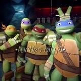 turtles ninja🐢