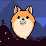 Baby Pomeranian - Entry