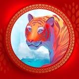 Year Of The Tiger