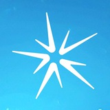 Salvo | Official