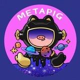 MetaPIG