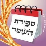 ספירת העומר 🌾