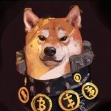 Sun Tzu Shiba