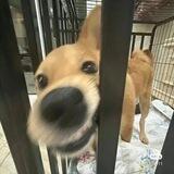 亦总的朋友圈