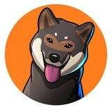 Shikoku Doge 四国犬 Portal