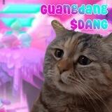 [SOL] Guangdang - $DANG
