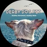 Derby Dog Fit