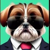 SHIH TZU INU Official
