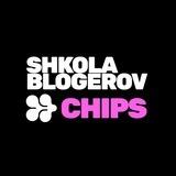 Школа Chips