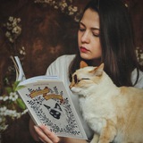 книги и котики