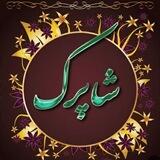 عمده فروشی شاپرک