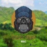 OLD FEG | BSC