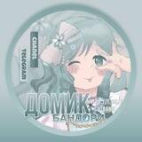 ♪дᴏʍиᴋ бᴀндᴏᴩи♪彡